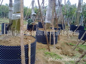 批發(fā)苗木專(zhuān)用控根器 控根快速育苗容器選購(gòu)指南與廠商推薦